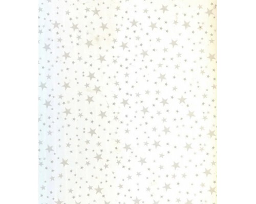 EUROPROFILE Панель ПВХ Звездная ночь 0,25*3м