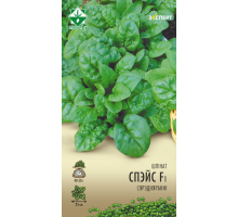 Шпинат Спейс F1 1г, Нидерланды