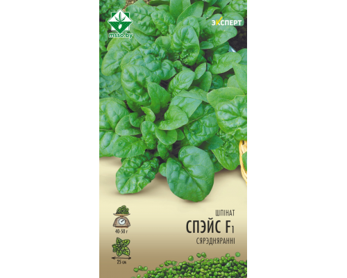 Шпинат Спейс F1 1г, Нидерланды