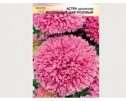 Астра Воздушный шар Розовый 100г, Германия
