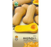 Тыква Матильда F1 мускатная 5шт, Нидерланды