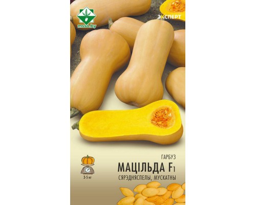 Тыква Матильда F1 мускатная 5шт, Нидерланды