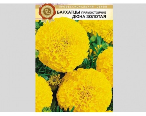Бархатцы прям Золотая Дюна 10шт, Германия