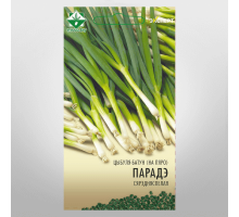 Лук-батун (на перо) Параде 100шт, Нидерланды