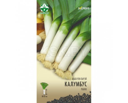 Лук-порей Колумбус 50шт, Нидерланды