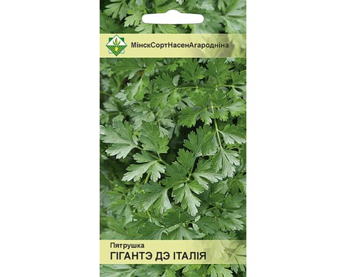Петрушка Гиганте де Италия 2г, Италия