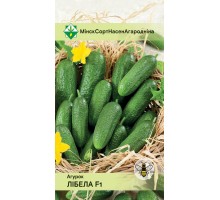 Огурец Либелла F1 600г, Германия
