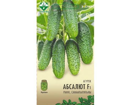 Огурец Абсолют F1 10шт, Нидерланды