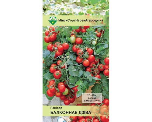 Томат Балконное чудо 15шт, Германия
