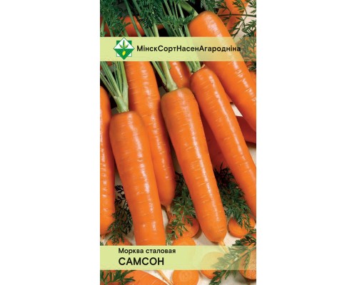 Морковь Самсон столовая 500г, Нидерланды