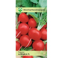 Редис Алешка F1 2г, Германия