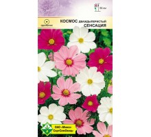 Космос дваждыперистый Сенсация см 500г, Германия