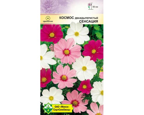 Космос дваждыперистый Сенсация см 500г, Германия