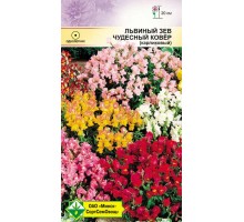 Львиный зев Чудесный ковер 200г, Германия