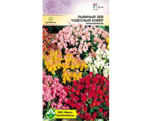 Львиный зев Чудесный ковер 200г, Германия