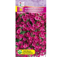 Петуния гибр каскад пурпурный F1 5шт, Чехия