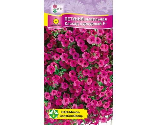Петуния гибр каскад пурпурный F1 5шт, Чехия